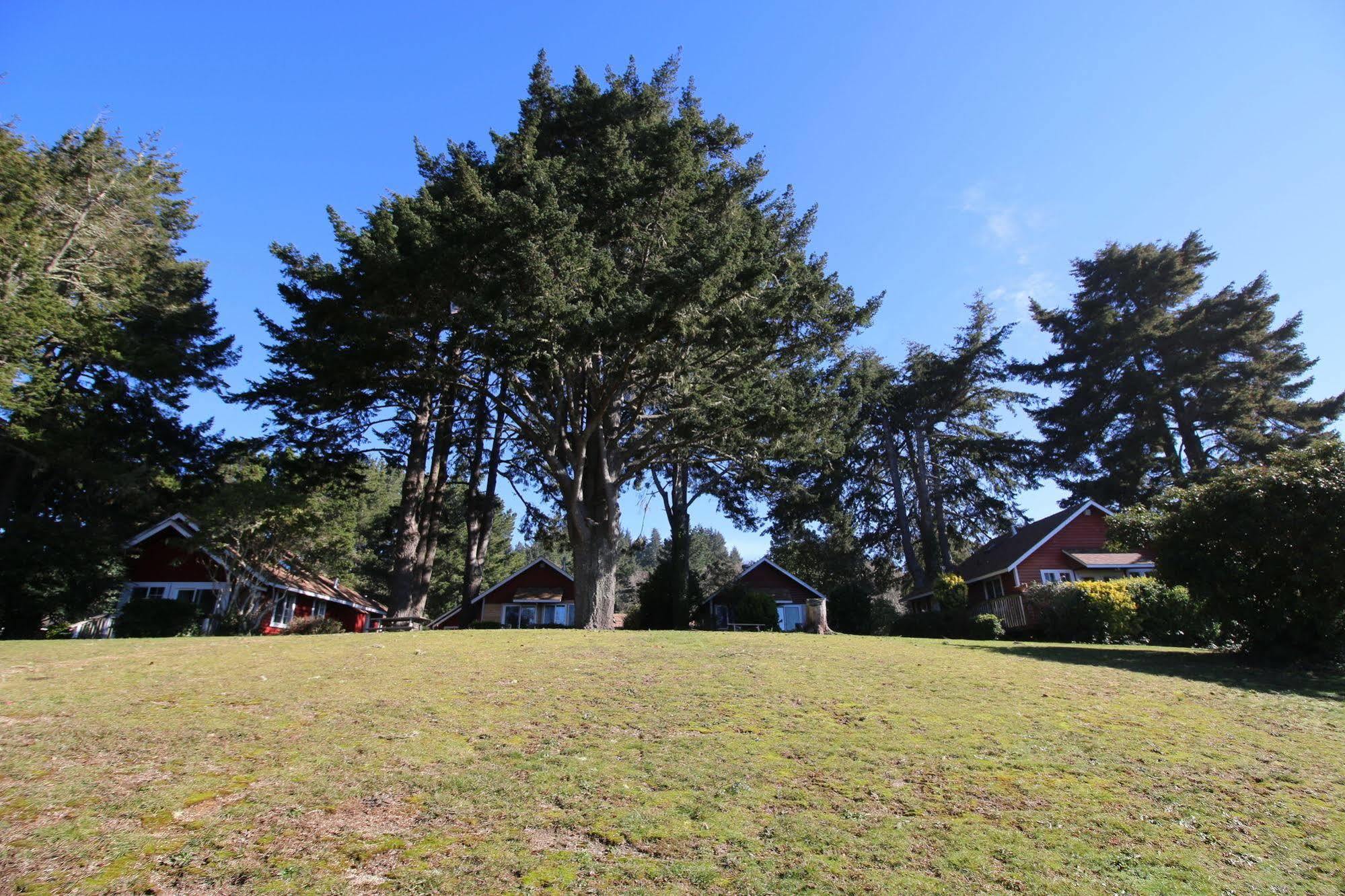 View Crest Lodge Trinidad Bagian luar foto