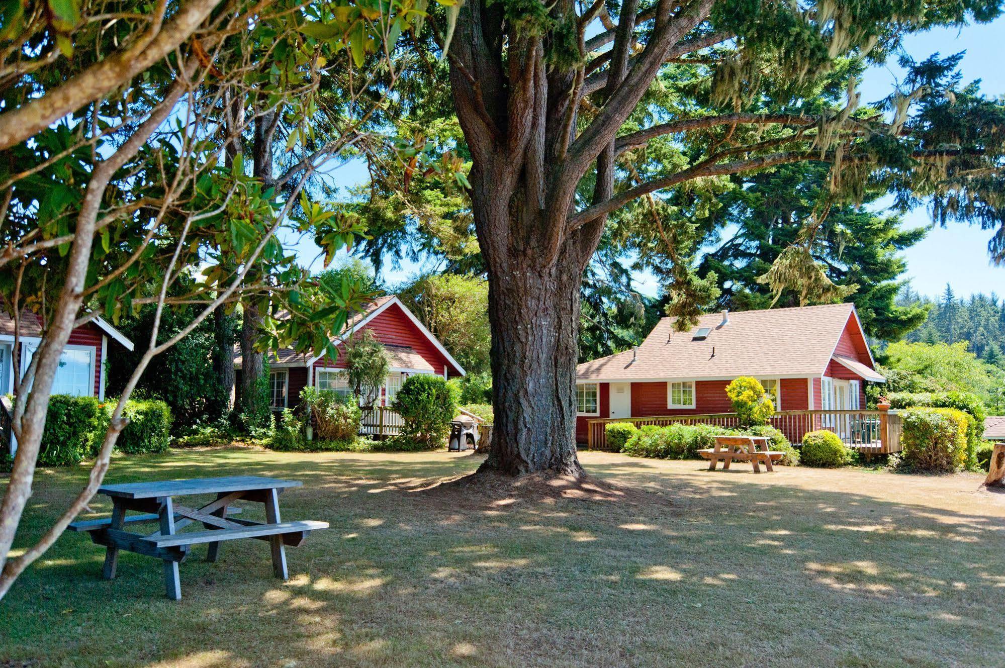 View Crest Lodge Trinidad Bagian luar foto